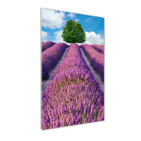 Cuadro decorativo en acrílico brillante vertical campo de lavanda