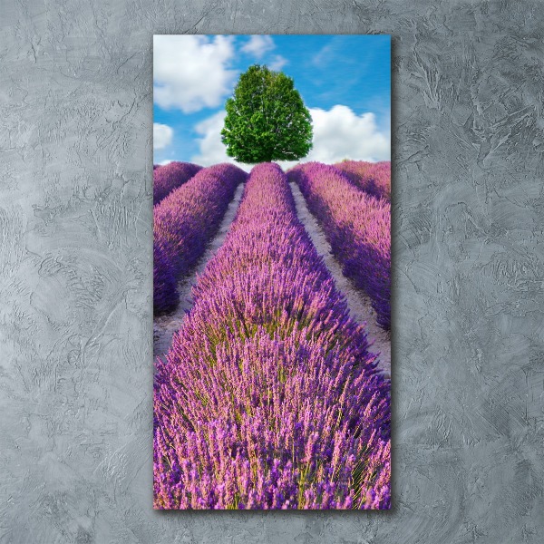 Cuadro decorativo en acrílico brillante vertical campo de lavanda