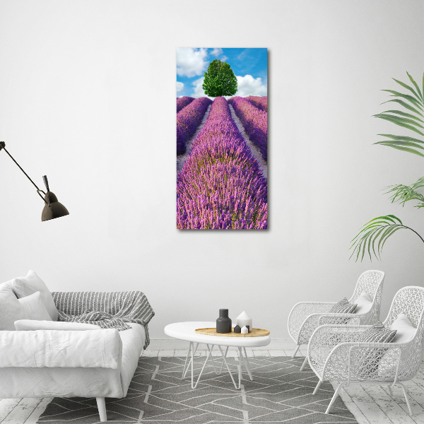 Cuadro decorativo en acrílico brillante vertical campo de lavanda