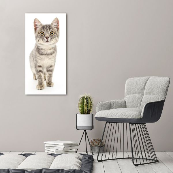 Cuadro de metacrilato moderno efecto cristal vertical gato gris