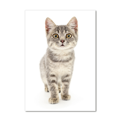 Cuadro de metacrilato moderno efecto cristal vertical gato gris