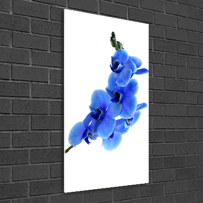 Cuadro decorativo en acrílico brillante vertical Orquídea azul