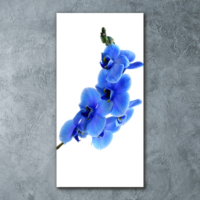 Cuadro decorativo en acrílico brillante vertical Orquídea azul