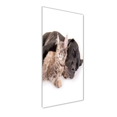 Cuadro decorativo en acrílico brillante vertical Perro y gato