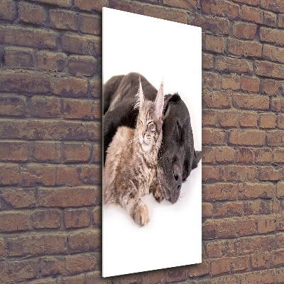 Cuadro decorativo en acrílico brillante vertical Perro y gato