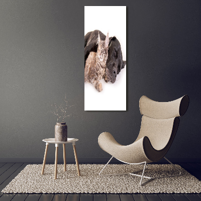 Cuadro decorativo en acrílico brillante vertical Perro y gato
