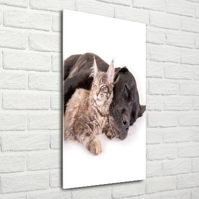 Cuadro decorativo en acrílico brillante vertical Perro y gato