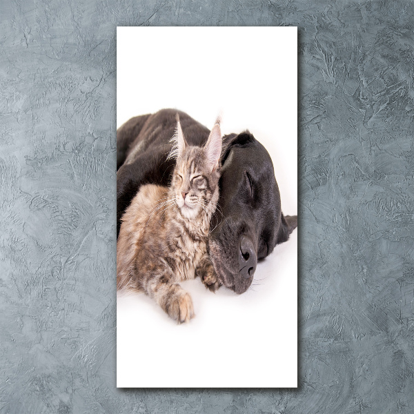 Cuadro decorativo en acrílico brillante vertical Perro y gato