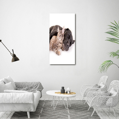 Cuadro decorativo en acrílico brillante vertical Perro y gato