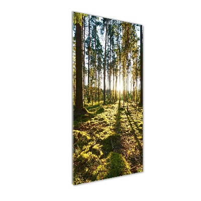 Cuadro de metacrilato vertical bosque de pinos