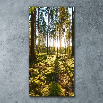 Cuadro de metacrilato vertical bosque de pinos