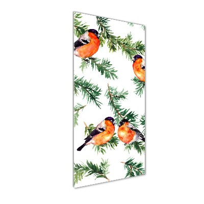 Obraz zdjęcie akryl pionowy Rudzik i iglaki