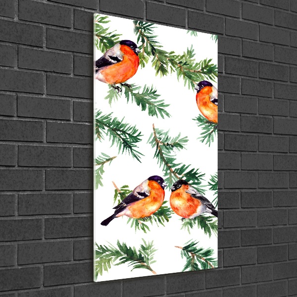 Obraz zdjęcie akryl pionowy Rudzik i iglaki
