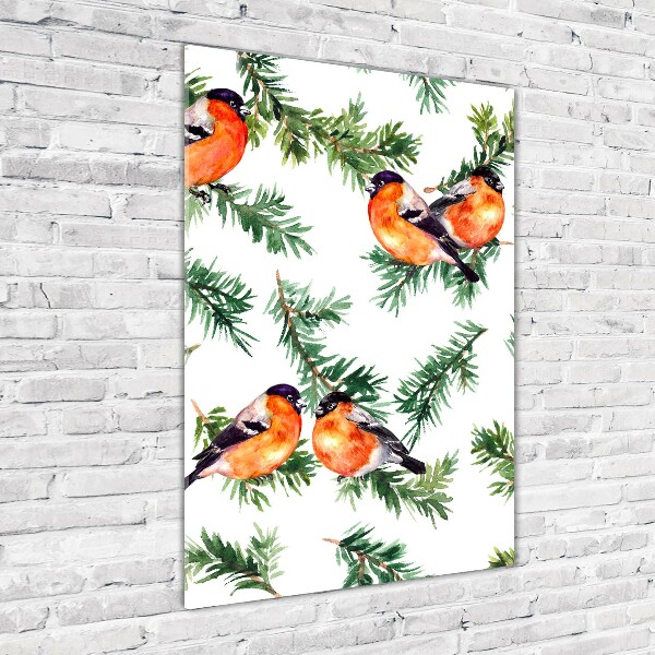 Obraz zdjęcie akryl pionowy Rudzik i iglaki
