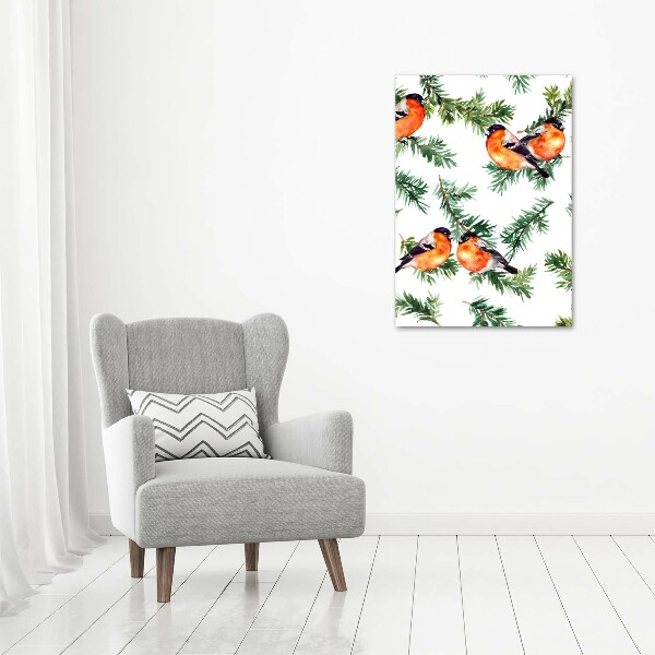 Obraz zdjęcie akryl pionowy Rudzik i iglaki