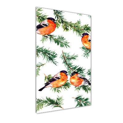 Obraz zdjęcie akryl pionowy Rudzik i iglaki