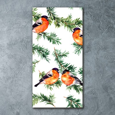 Obraz zdjęcie akryl pionowy Rudzik i iglaki