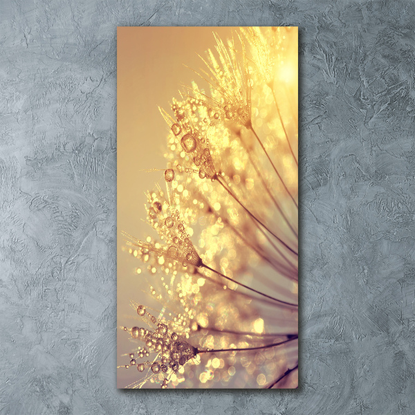 Cuadro de metacrilato moderno efecto cristal vertical semillas de diente de león