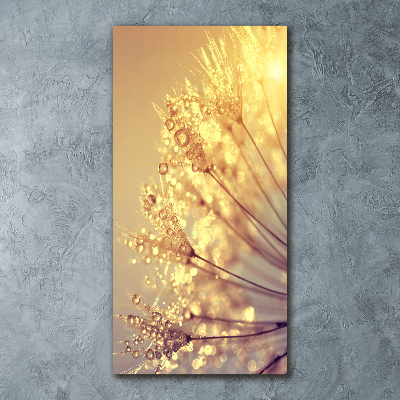 Cuadro de metacrilato moderno efecto cristal vertical semillas de diente de león