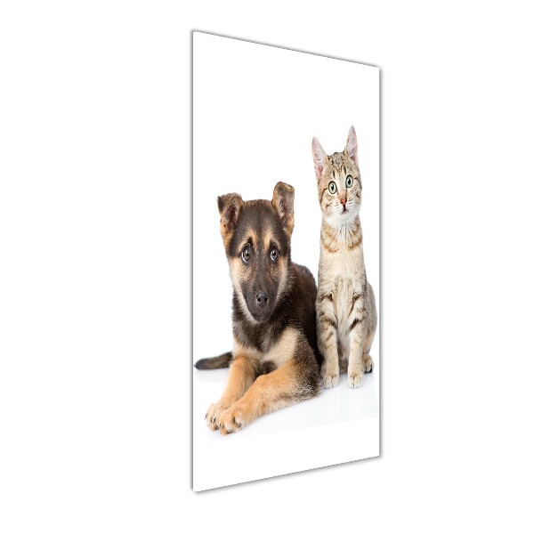 Cuadro decorativo en acrílico brillante vertical Perro y gato