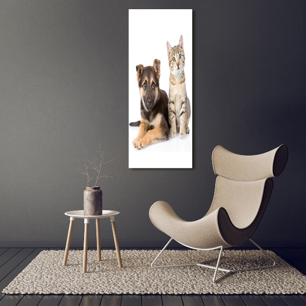 Cuadro decorativo en acrílico brillante vertical Perro y gato