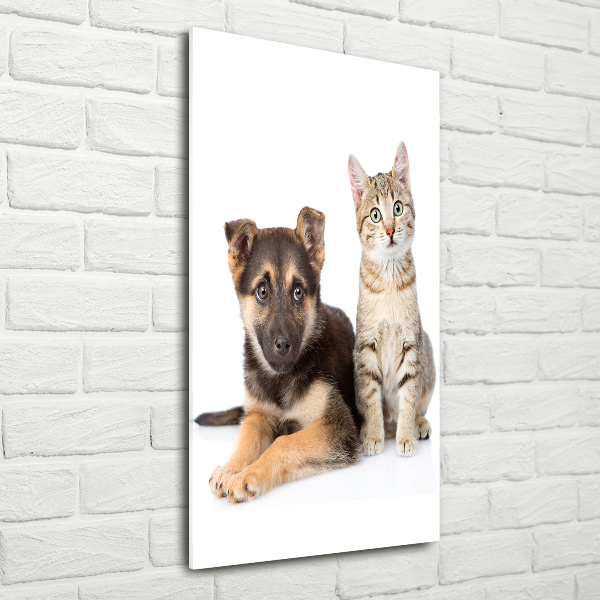 Cuadro decorativo en acrílico brillante vertical Perro y gato