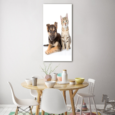 Cuadro decorativo en acrílico brillante vertical Perro y gato