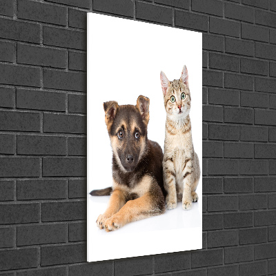 Cuadro decorativo en acrílico brillante vertical Perro y gato