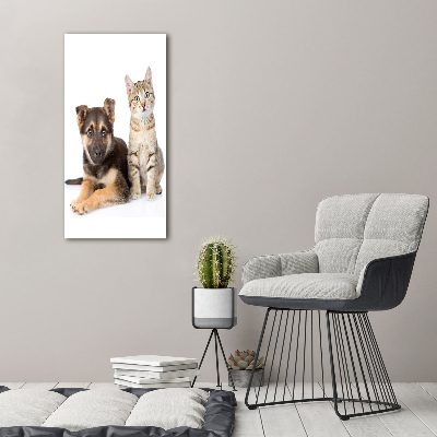 Cuadro decorativo en acrílico brillante vertical Perro y gato