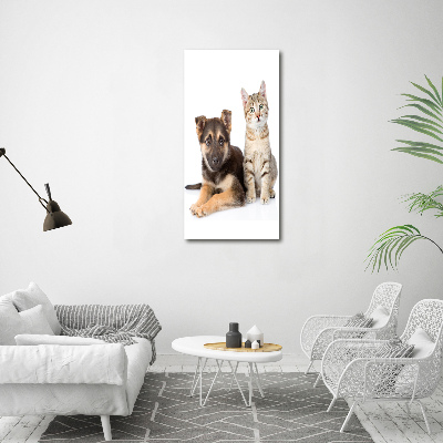 Cuadro decorativo en acrílico brillante vertical Perro y gato