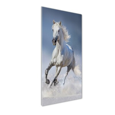 Cuadro de metacrilato moderno efecto cristal vertical Un caballo blanco galopando