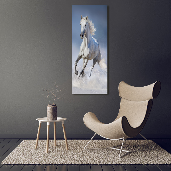 Cuadro de metacrilato moderno efecto cristal vertical Un caballo blanco galopando