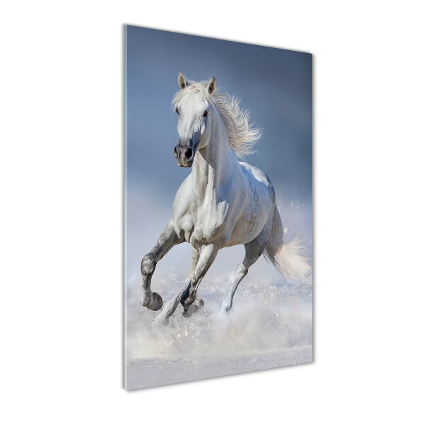 Cuadro de metacrilato moderno efecto cristal vertical Un caballo blanco galopando