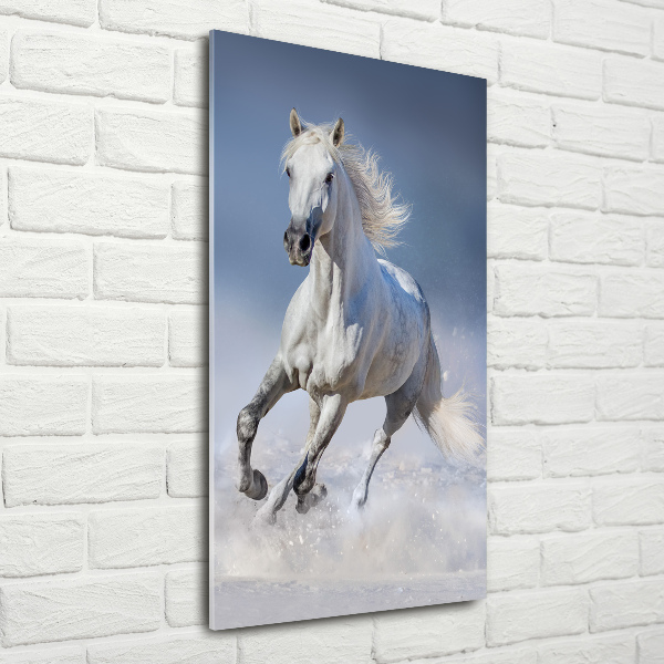 Cuadro de metacrilato moderno efecto cristal vertical Un caballo blanco galopando