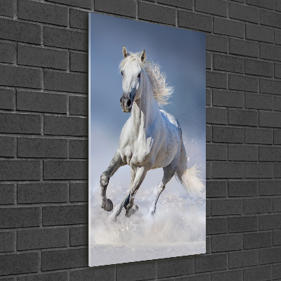 Cuadro de metacrilato moderno efecto cristal vertical Un caballo blanco galopando