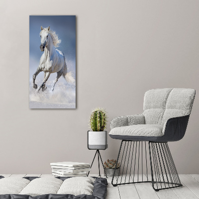 Cuadro de metacrilato moderno efecto cristal vertical Un caballo blanco galopando
