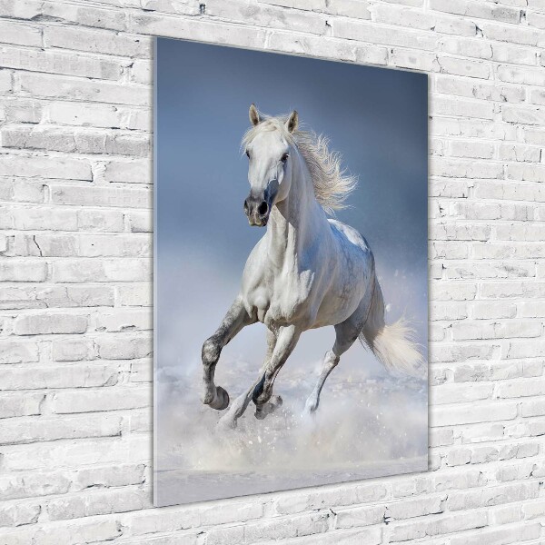 Cuadro de metacrilato moderno efecto cristal vertical Un caballo blanco galopando