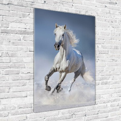 Cuadro de metacrilato moderno efecto cristal vertical Un caballo blanco galopando