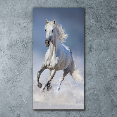 Cuadro de metacrilato moderno efecto cristal vertical Un caballo blanco galopando