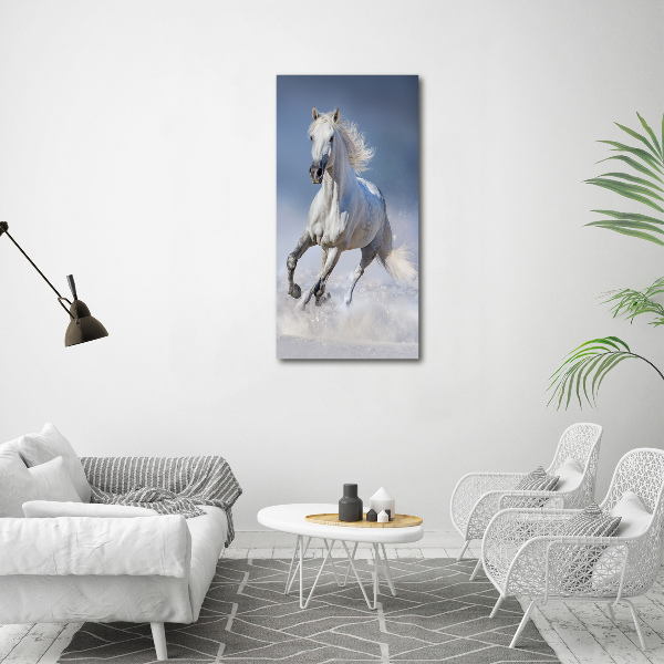 Cuadro de metacrilato moderno efecto cristal vertical Un caballo blanco galopando