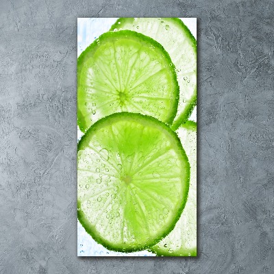 Impresión en metacrilato de alta calidad vertical Cal bajo el agua