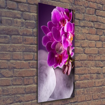 Cuadro de metacrilato moderno efecto cristal vertical Orquídea rosa