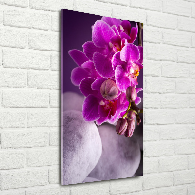 Cuadro de metacrilato moderno efecto cristal vertical Orquídea rosa