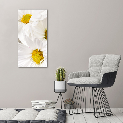 Cuadro decorativo en acrílico brillante vertical margaritas