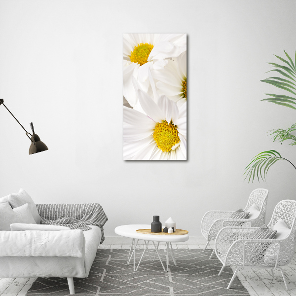 Cuadro decorativo en acrílico brillante vertical margaritas