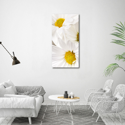 Cuadro decorativo en acrílico brillante vertical margaritas
