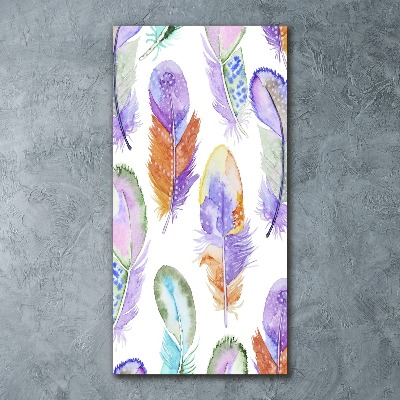 Cuadro de metacrilato moderno efecto cristal vertical Plumas de colores