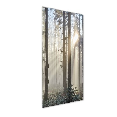 Cuadro de metacrilato moderno efecto cristal vertical Niebla en el bosque