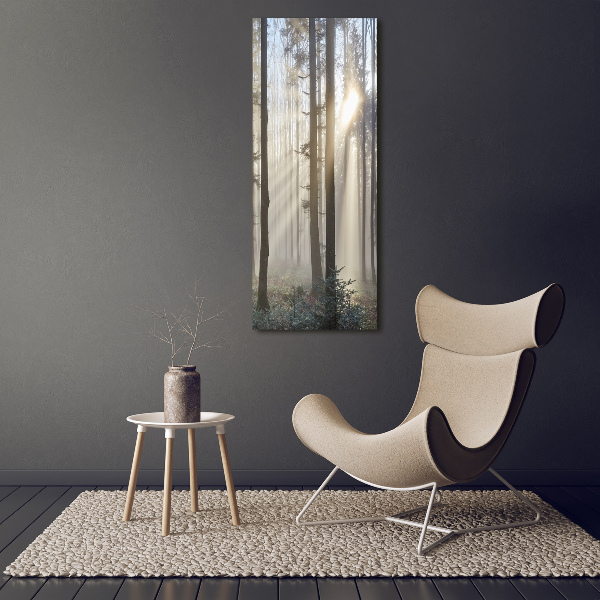 Cuadro de metacrilato moderno efecto cristal vertical Niebla en el bosque