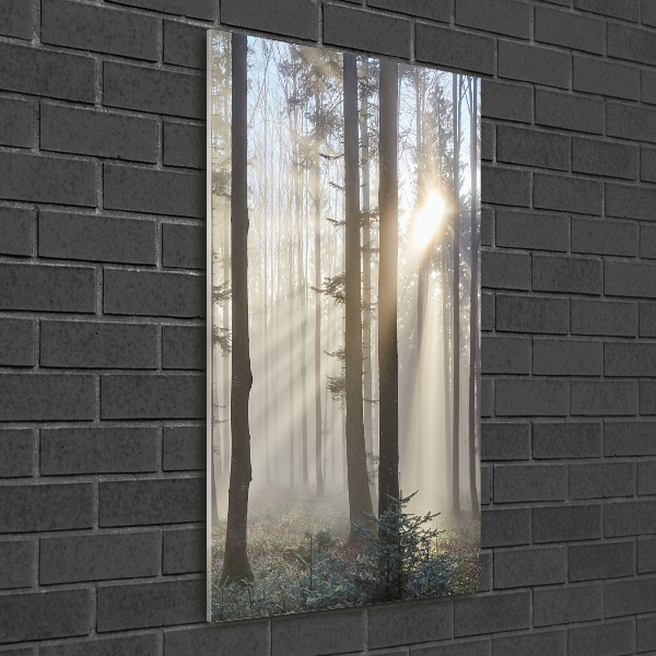 Cuadro de metacrilato moderno efecto cristal vertical Niebla en el bosque